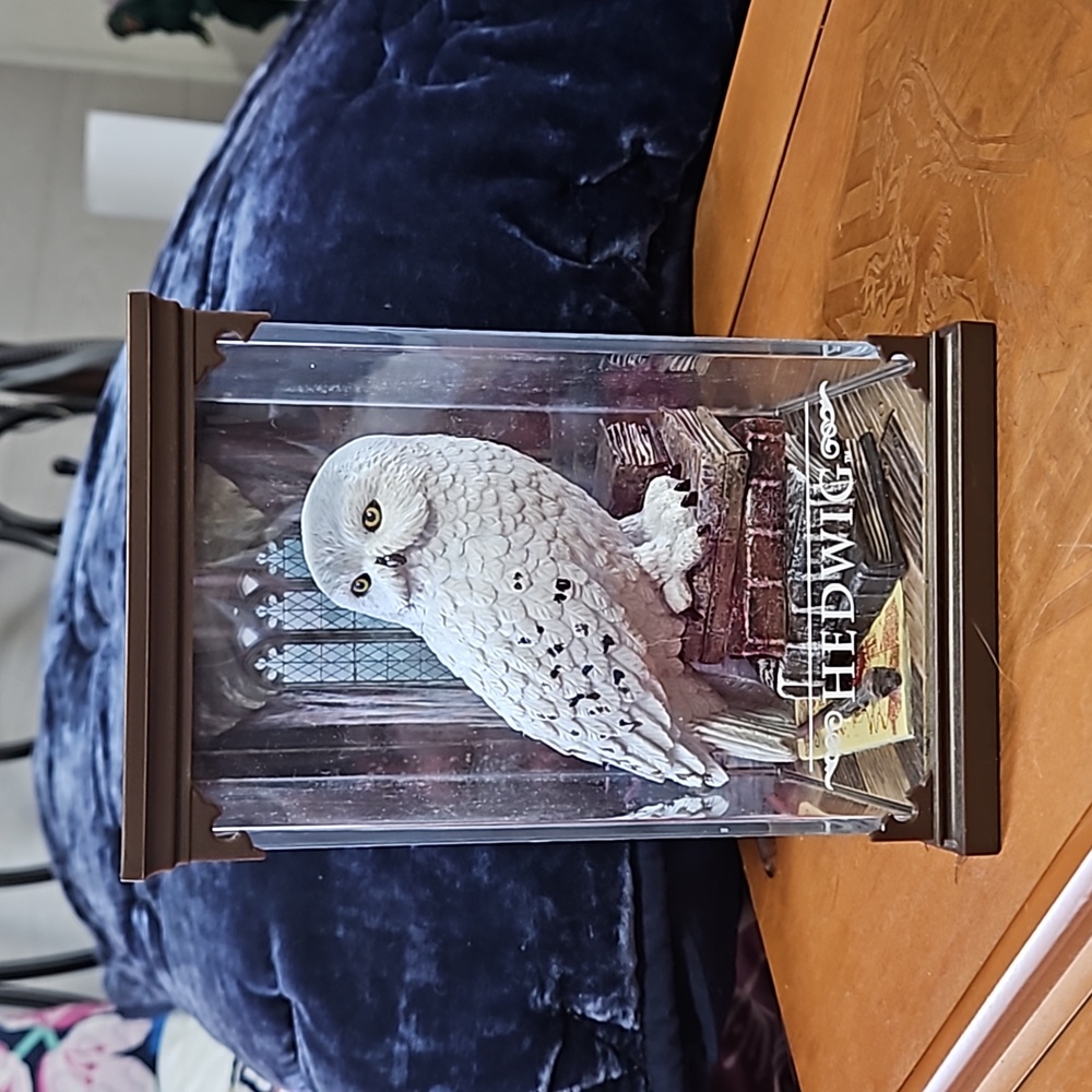Hedwig